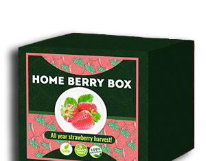 Home Berry Box set de cultivare a căpșunilor - recenzii curente ale utilizatorilor din 2020 - cum să o folosești, cum functioneazã, opinii, forum, preț, de unde să cumperi, comanda - România